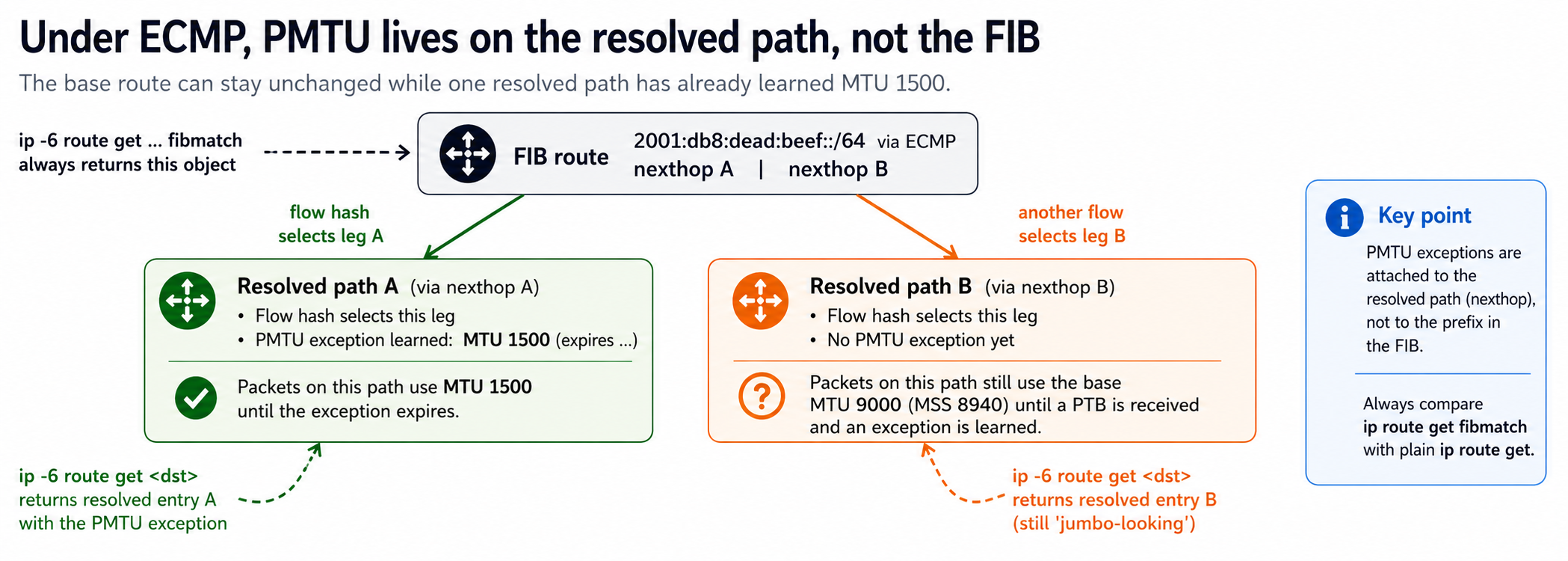 Figure 3. Under ECMP, PMTU lives on the resolved path, not the FIB
