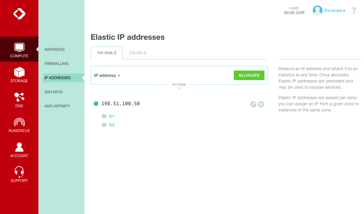 elastic ip assignment