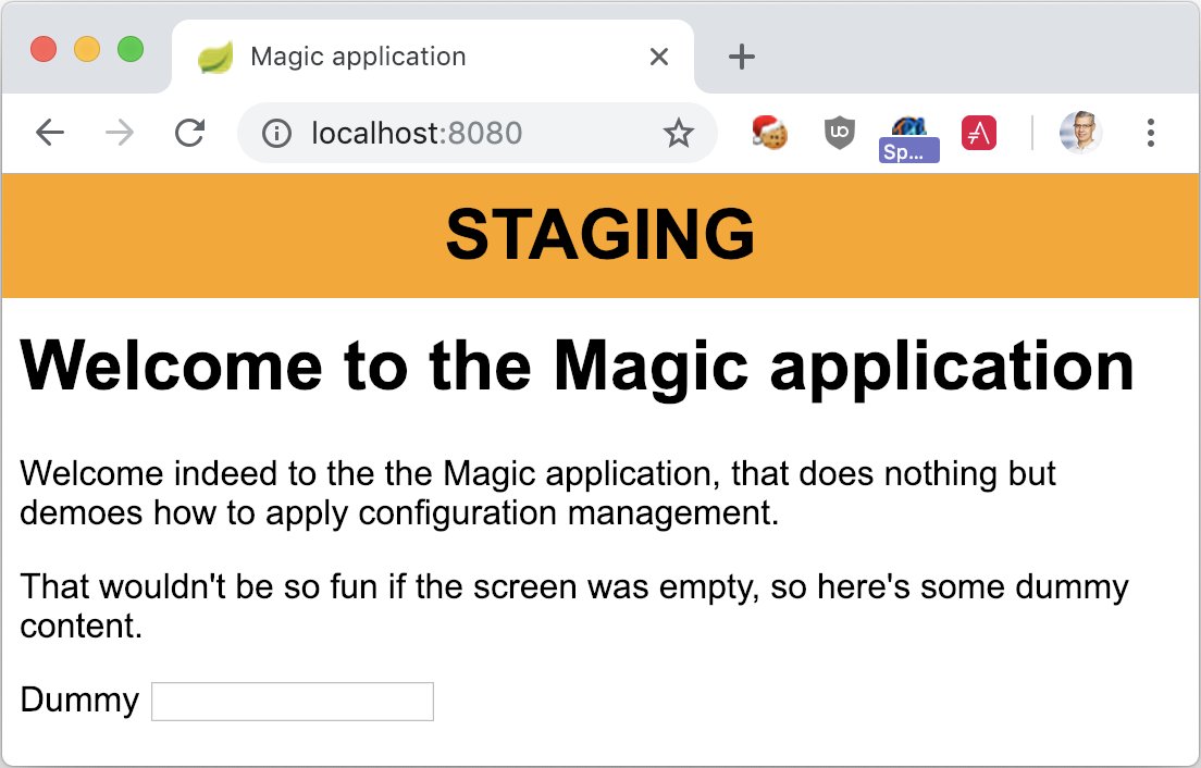 The Magic Application launched with Java and the stg profile